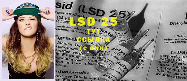 PSILOCYBIN Липки