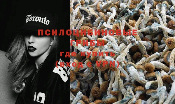 PSILOCYBIN Липки