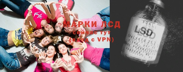 PSILOCYBIN Липки
