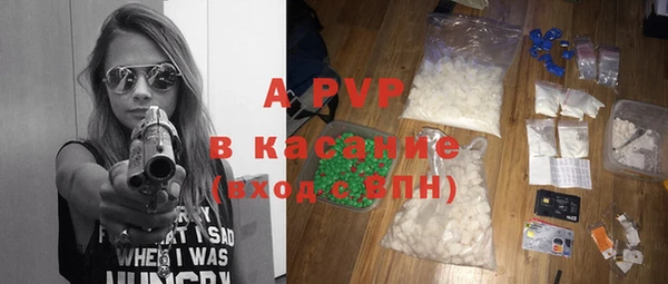 PSILOCYBIN Липки