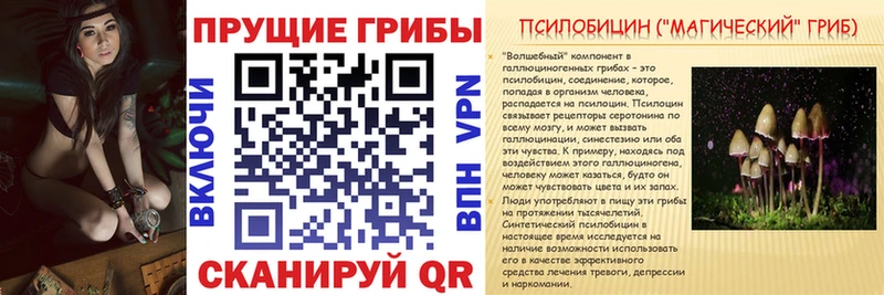 Псилоцибиновые грибы MAGIC MUSHROOMS Олонец